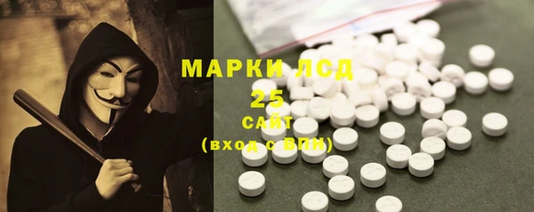 spice Бородино