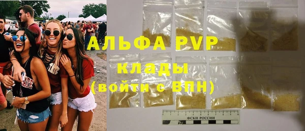 молекула духа Белая Холуница