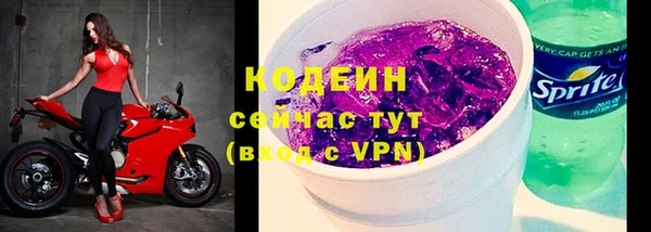 молекула духа Белая Холуница